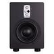 EVE AUDIO TS108 Subwoofer (30010)