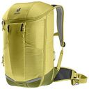 DEUTER Rotsoord 25+5, Linden-Cactus