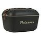 POLARBOX Retro Cooler 12 L, Green Forest Gold