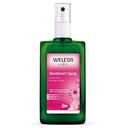 WELEDA Wildrose Deodorant Spray 100 ml