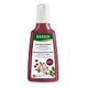 RAUSCH Colour-Protect-Shampoo with Wildrose Shampoo 200 ml