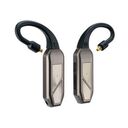 IFI AUDIO GO pod Max
