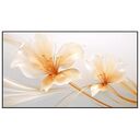 XGIMI 100" UST ALR Screen (P165S)