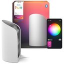 PHILIPS Hue White & Color Ambiance - Hue Play Wallwasher, 1er-Pack, Weiss (929003837601)