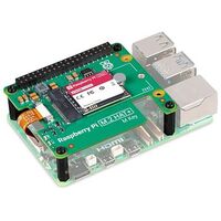 RASPBERRY Pi M.2 2230 SSD Kit, 512 GB (SC1676)