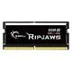 G.SKILL Ripjaws, SO-DIMM DDR5-5600; 32 GB (F5-5600S4040A32GX1-RS)