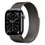 APPLE Watch Series 11 GPS + Cellular, 46mm Titangehäuse, Schiefer mit Milanaise Armband M/L (MFD44ZR/A)