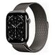 APPLE Watch Series 11 GPS + Cellular, 46mm Titangehäuse, Schiefer mit Milanaise Armband M/L (MFD44ZR/A)
