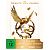 The Hunger Games - 5-Movie Limited Collection (DVD, 2025, J.Lawrence / J.Hutcherson)