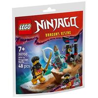 LEGO Ninjago - Arins Duell mit dem Drachenmenschen (30700)