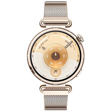 HUAWEI Watch GT 6, 41 mm, Gold (55020FTP) from CHF 209.00 at Toppreise.ch