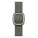APPLE Moderne Schliesse 42mm, Silbergrau, Large [Late 2025] (MGGC4ZM/A)