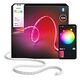 PHILIPS Hue Flux Lightstrip, 10 m (929004610802)