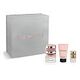 TRUSSARDI Donna Eau de Parfum Spray 30 ml + Eau de Parfum 7 ml + Body Lotion 30 ml Gift Set