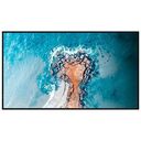 HISENSE Digital Signage Display 65DM66D