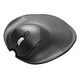 HIPPUS HandshoeMouse Shift, Large (BNEPS210RLW)