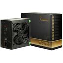 INTER-TECH ArgusNT BPS-850, 850 Watt (88882242)