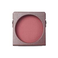 FIIO SK-DM15 Schutztasche, Braun