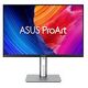 ASUS ProArt PA248QFV (90LM05K1-B01K71)