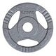 FITCOM Iron Weight Plate - 31 mm, 1.25 kg