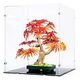 IDISPLAYIT Acryl-Display für Japanischer Roter Ahorn (120318)