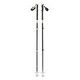BLACK DIAMOND Expedition 3 Ski Pole, 125 cm, Desert Sage