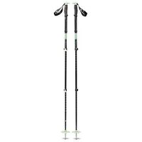 BLACK DIAMOND Expedition 3 Ski Pole, 140 cm, Desert Sage