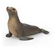 SCHLEICH Wild Life - Seelöwe (14933)