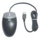HP USB 2-Button Optical Scroll Mouse (DC172B)