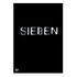 Sieben (DVD, 1995, B.Pitt / M.Freeman)