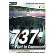 Flight Simulator 2004 - Level-D 767 Pilot in Command (Aerosoft), PC